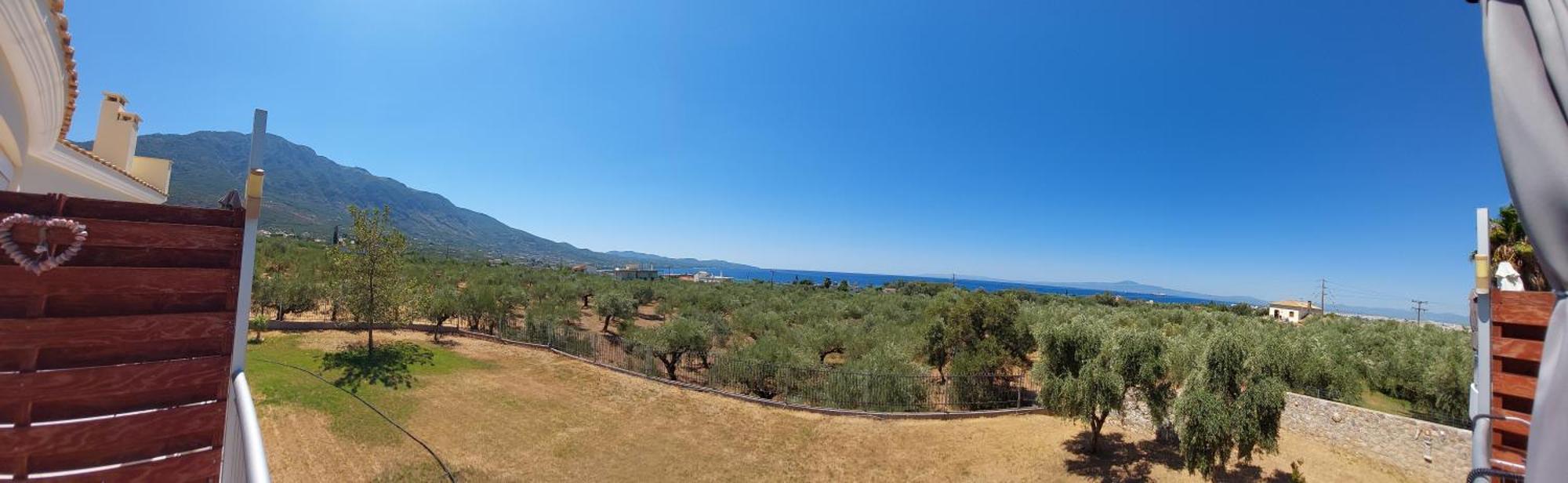 Elea Apartments Kalamata Værelse billede